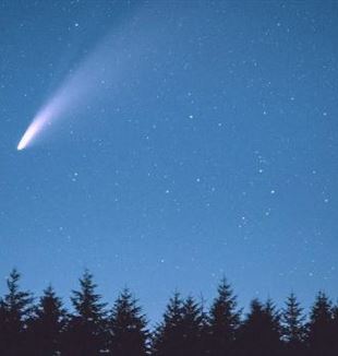 (©Unsplash/Cristofer Maximilian)